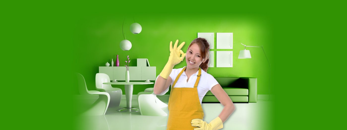 Công Ty TNHH Đức Trí Việt