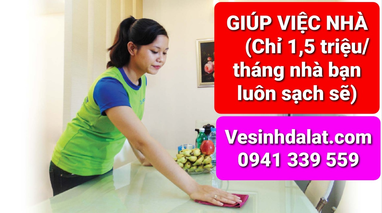 Công Ty TNHH Đức Trí Việt